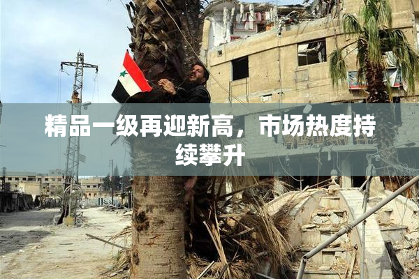 精品一级再迎新高，市场热度持续攀升