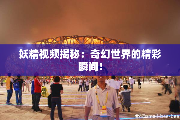 妖精视频揭秘：奇幻世界的精彩瞬间！