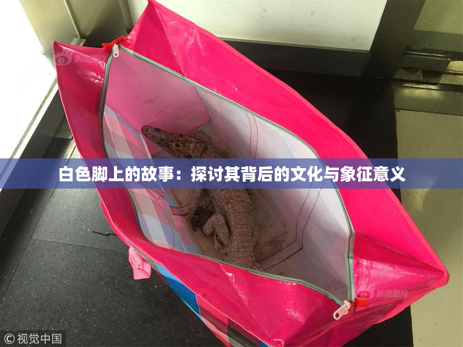 白色脚上的故事：探讨其背后的文化与象征意义