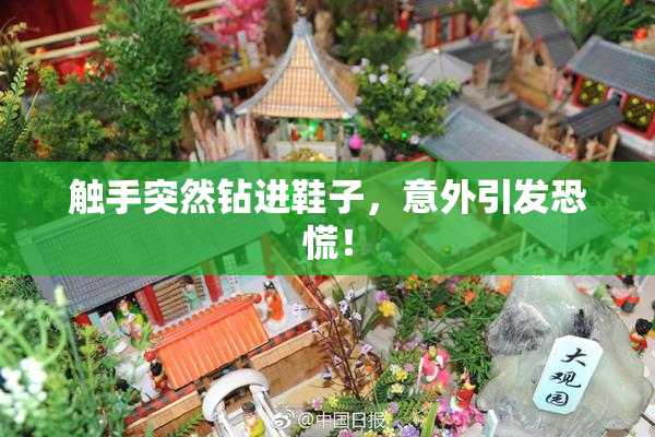 触手突然钻进鞋子，意外引发恐慌！