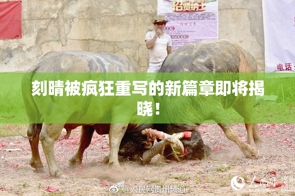 刻晴被疯狂重写的新篇章即将揭晓！