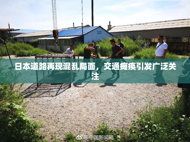 日本道路再现混乱局面，交通瘫痪引发广泛关注