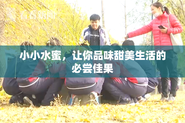小小水蜜，让你品味甜美生活的必尝佳果