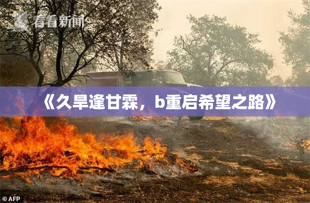 《久旱逢甘霖，b重启希望之路》