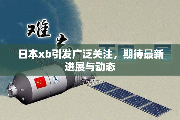 日本xb引发广泛关注，期待最新进展与动态