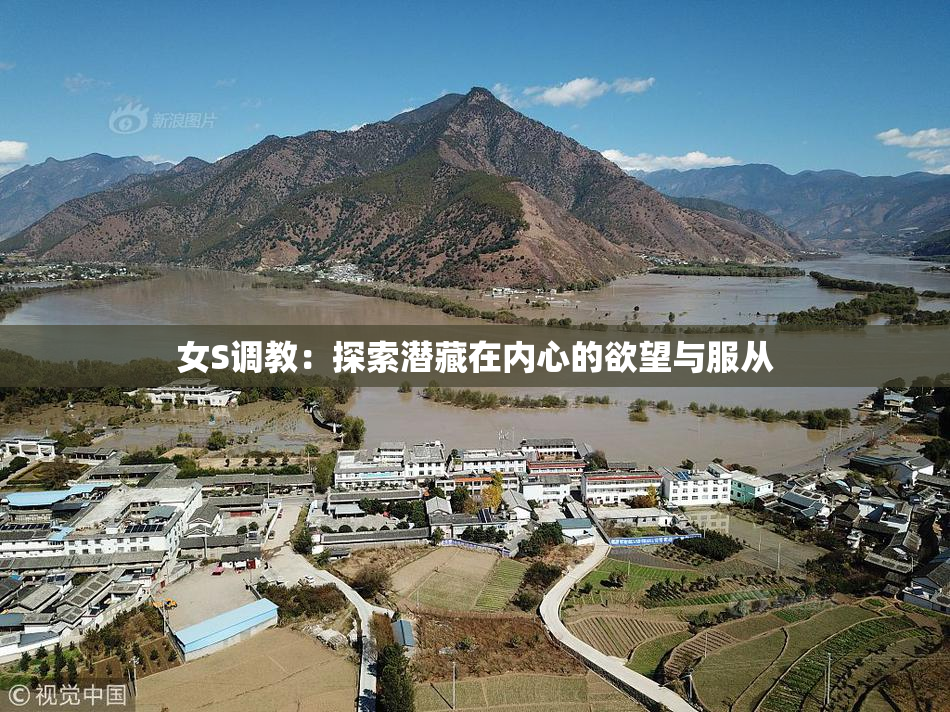 女S调教：探索潜藏在内心的欲望与服从