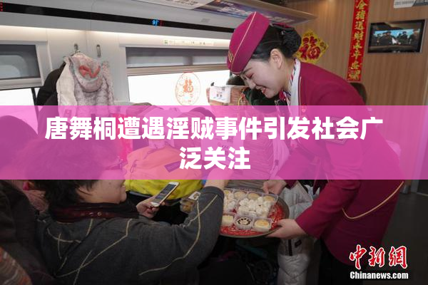 唐舞桐遭遇淫贼事件引发社会广泛关注