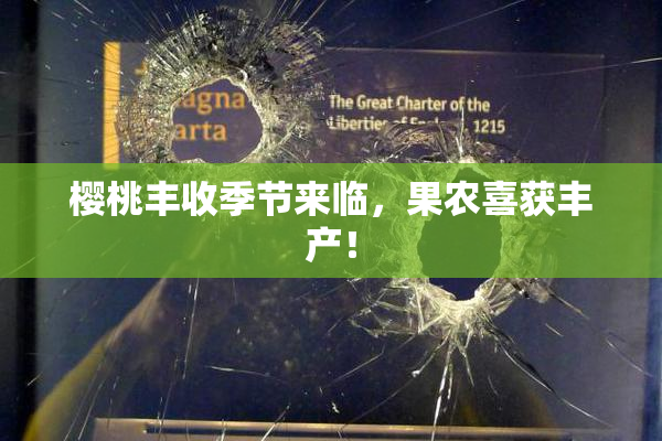 樱桃丰收季节来临，果农喜获丰产！