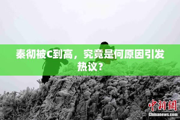 秦彻被C到高，究竟是何原因引发热议？