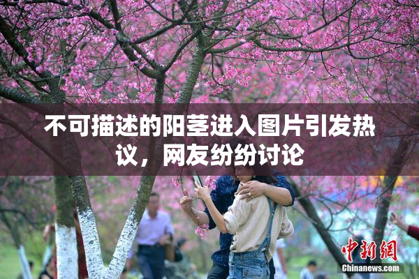 不可描述的阳茎进入图片引发热议，网友纷纷讨论