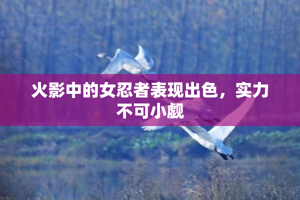 火影中的女忍者表现出色，实力不可小觑