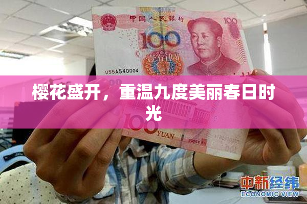 樱花盛开，重温九度美丽春日时光