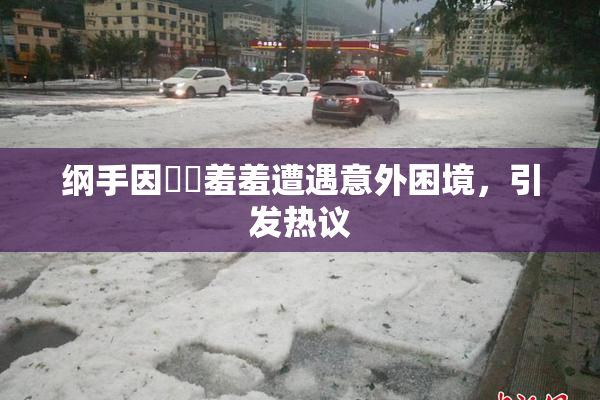 纲手因❌‌羞羞遭遇意外困境，引发热议