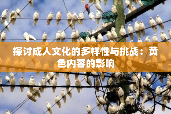 探讨成人文化的多样性与挑战：黄色内容的影响