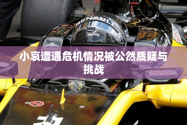小哀遭遇危机情况被公然质疑与挑战