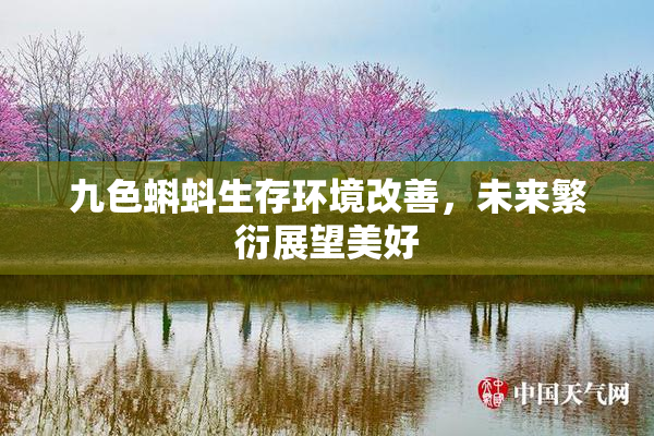 九色蝌蚪生存环境改善，未来繁衍展望美好
