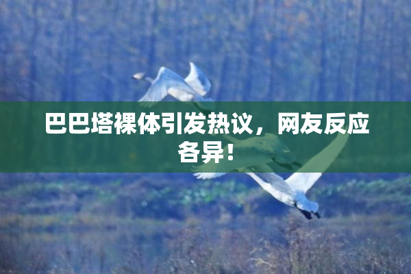 巴巴塔裸体引发热议，网友反应各异！