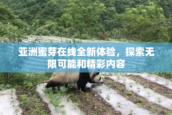 亚洲蜜芽在线全新体验，探索无限可能和精彩内容