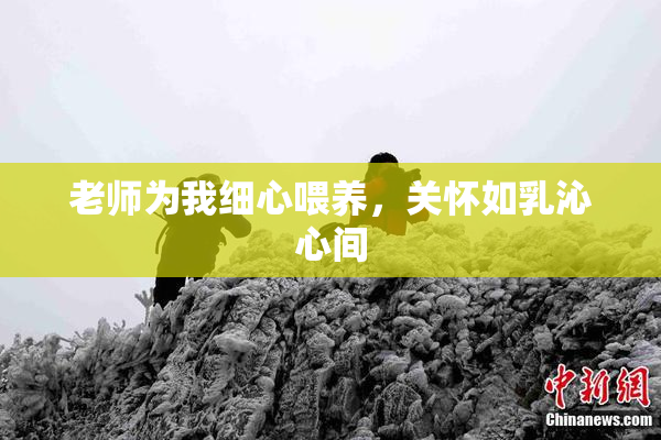 老师为我细心喂养，关怀如乳沁心间