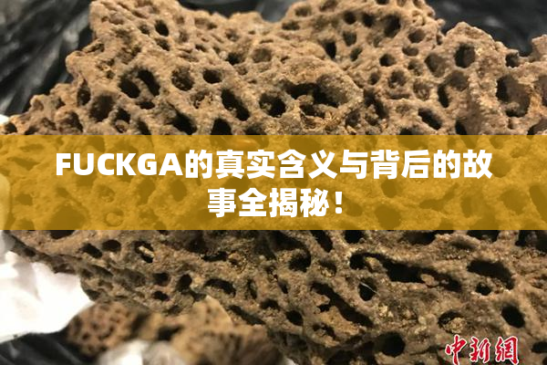 FUCKGA的真实含义与背后的故事全揭秘！