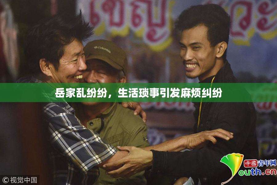 岳家乱纷纷，生活琐事引发麻烦纠纷