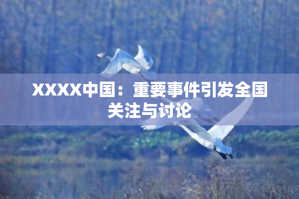 XXXX中国：重要事件引发全国关注与讨论