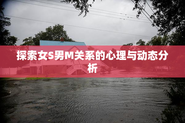 探索女S男M关系的心理与动态分析