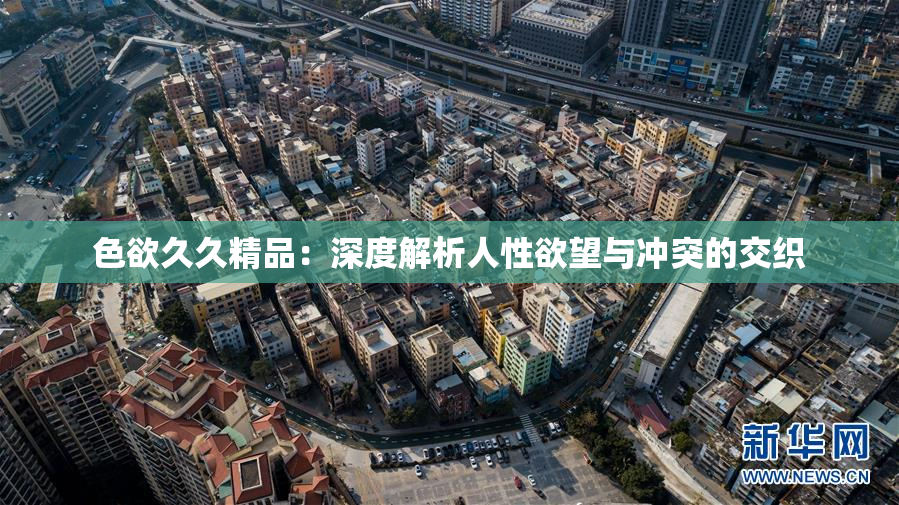 色欲久久精品：深度解析人性欲望与冲突的交织