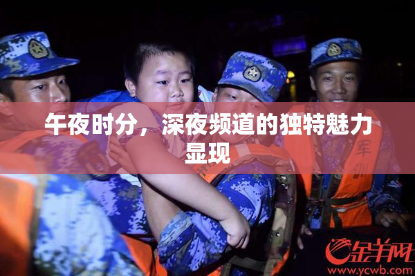 午夜时分，深夜频道的独特魅力显现