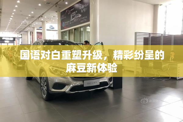 国语对白重塑升级，精彩纷呈的麻豆新体验