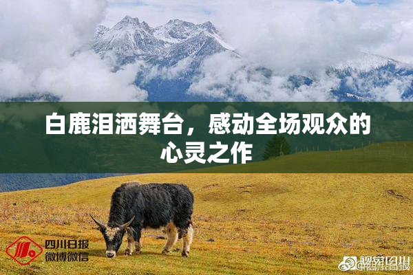 白鹿泪洒舞台，感动全场观众的心灵之作