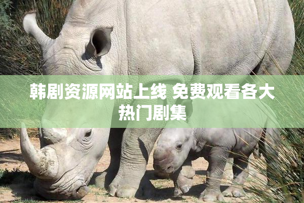 韩剧资源网站上线 免费观看各大热门剧集