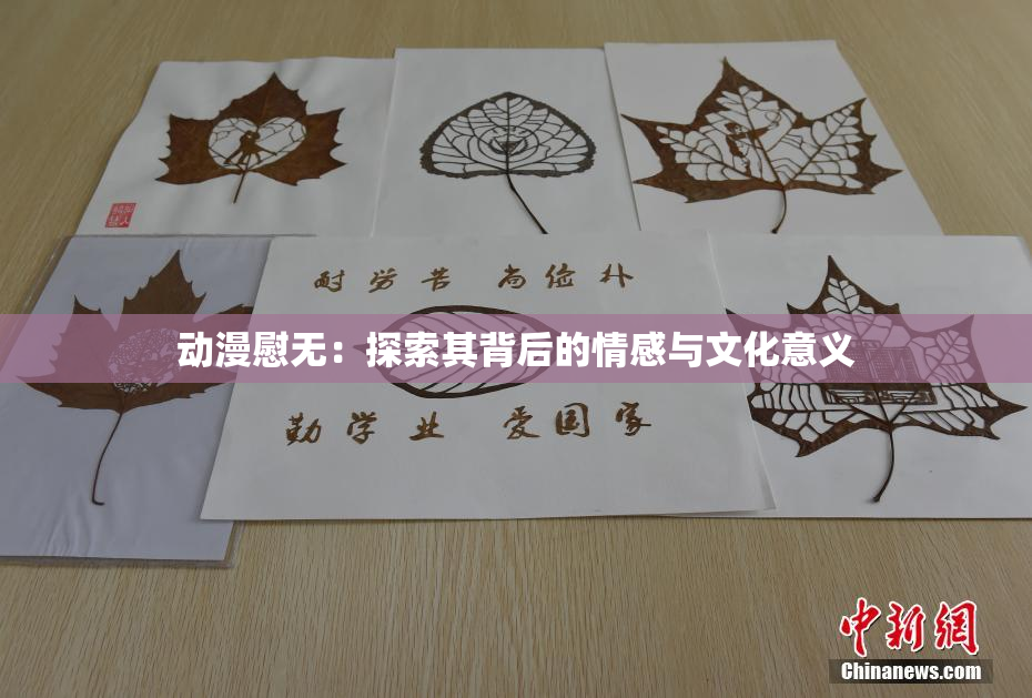 动漫慰无：探索其背后的情感与文化意义