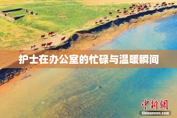护士在办公室的忙碌与温暖瞬间