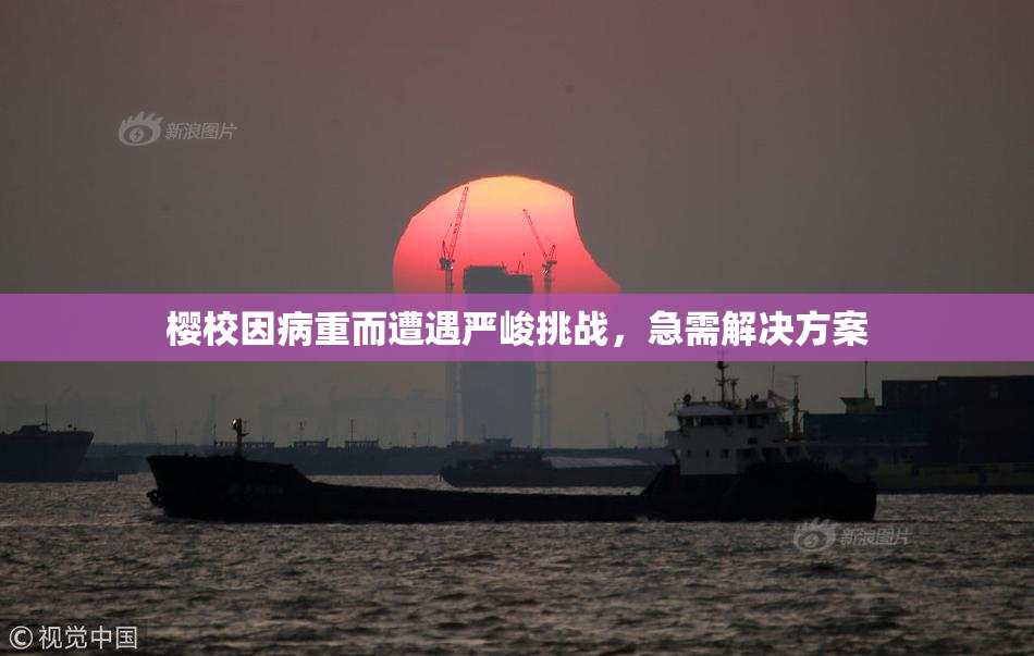 樱校因病重而遭遇严峻挑战，急需解决方案