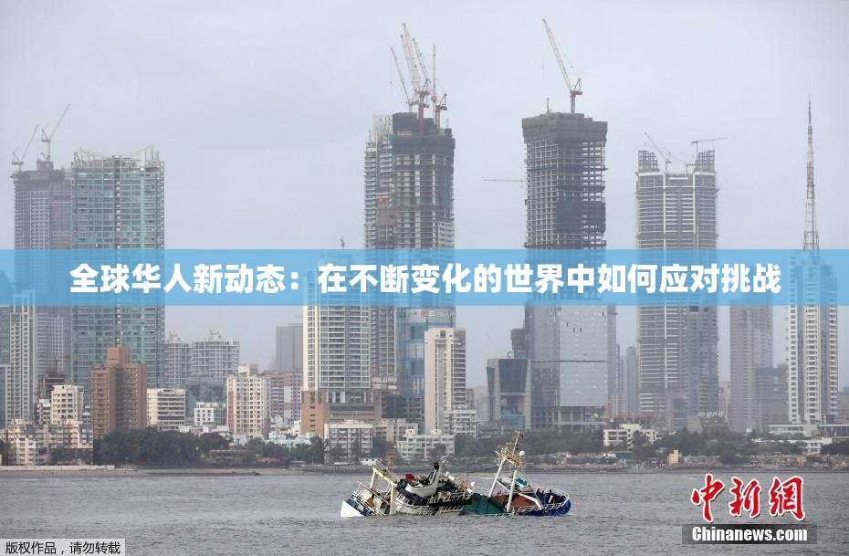 全球华人新动态：在不断变化的世界中如何应对挑战