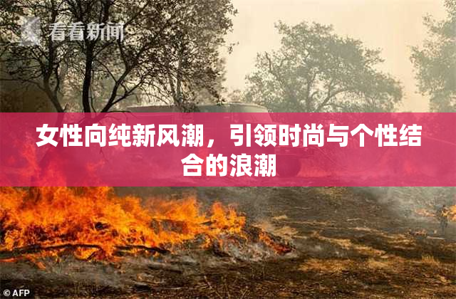 女性向纯新风潮，引领时尚与个性结合的浪潮