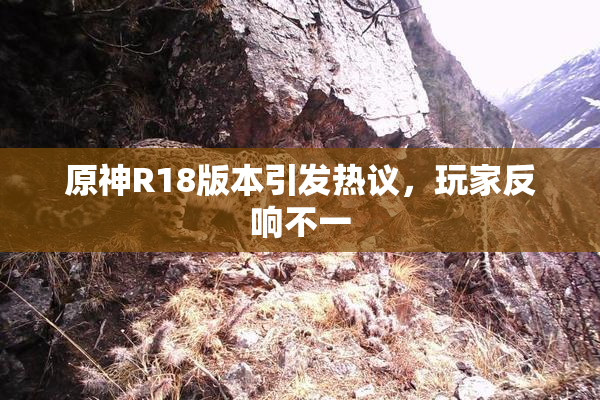 原神R18版本引发热议，玩家反响不一