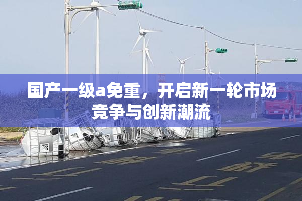 国产一级a免重，开启新一轮市场竞争与创新潮流