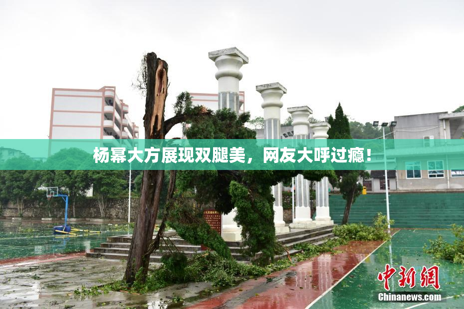 杨幂大方展现双腿美，网友大呼过瘾！