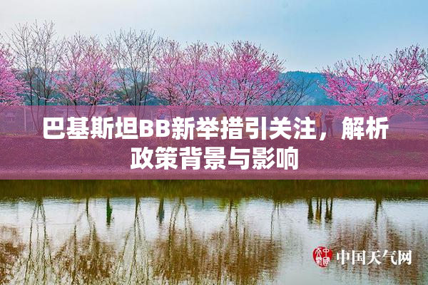 巴基斯坦BB新举措引关注，解析政策背景与影响