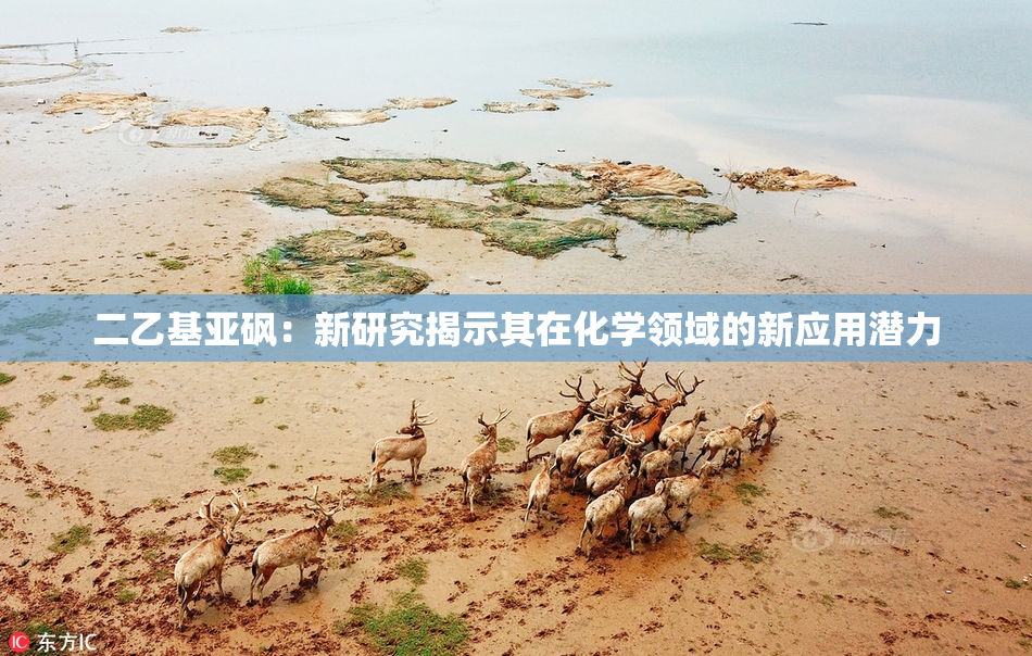 二乙基亚砜：新研究揭示其在化学领域的新应用潜力
