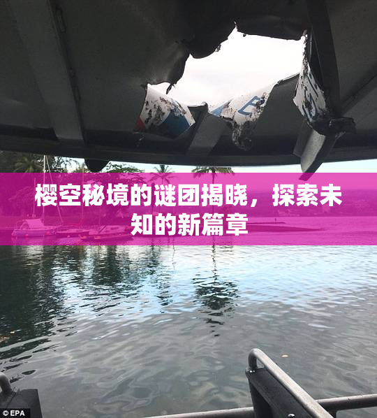 樱空秘境的谜团揭晓，探索未知的新篇章