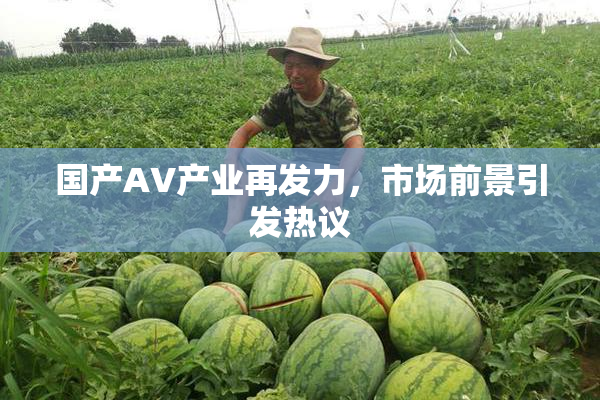 国产AV产业再发力，市场前景引发热议