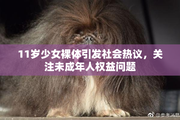 11岁少女裸体引发社会热议，关注未成年人权益问题