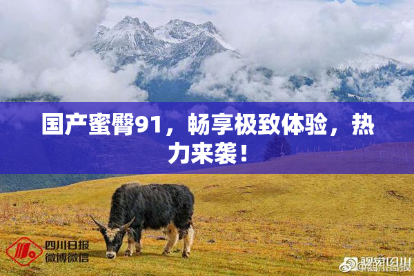 国产蜜臀91，畅享极致体验，热力来袭！