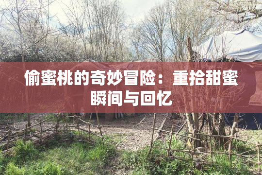 偷蜜桃的奇妙冒险：重拾甜蜜瞬间与回忆