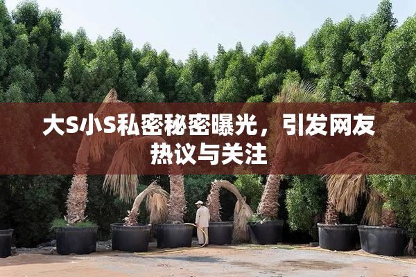 大S小S私密秘密曝光，引发网友热议与关注