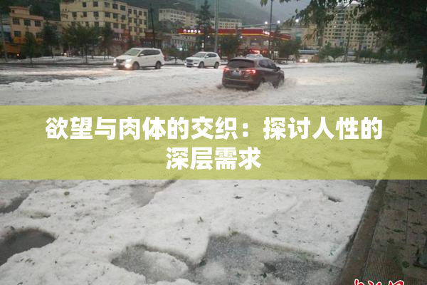 欲望与肉体的交织：探讨人性的深层需求