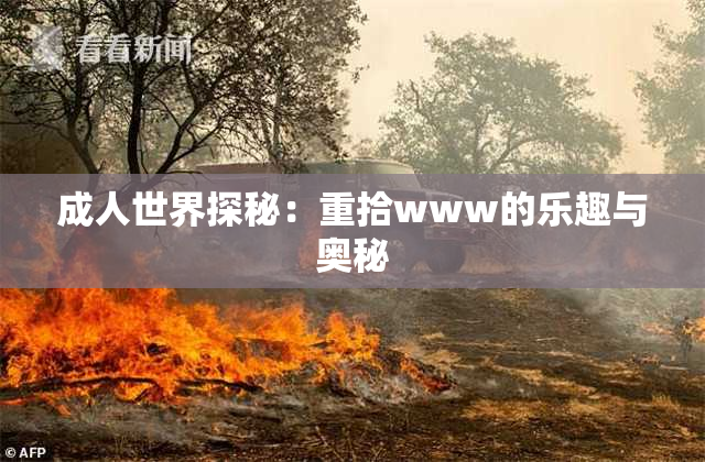 成人世界探秘：重拾www的乐趣与奥秘